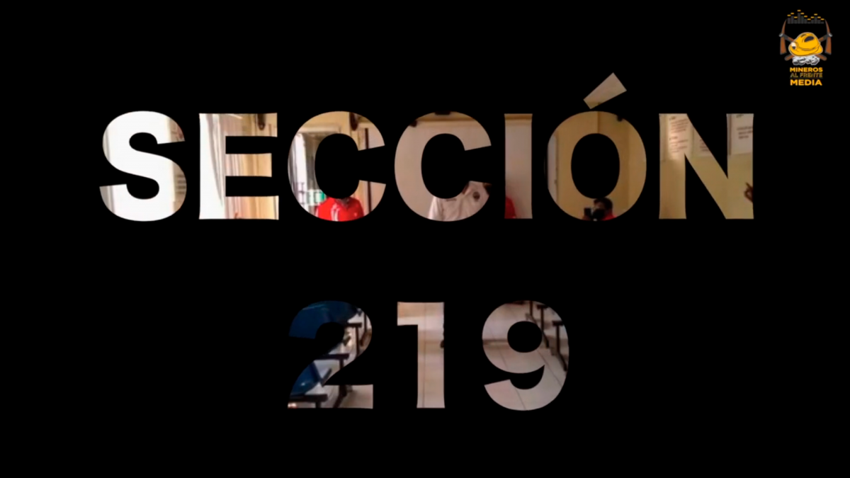 [Vídeo] Tizapa Sección 219