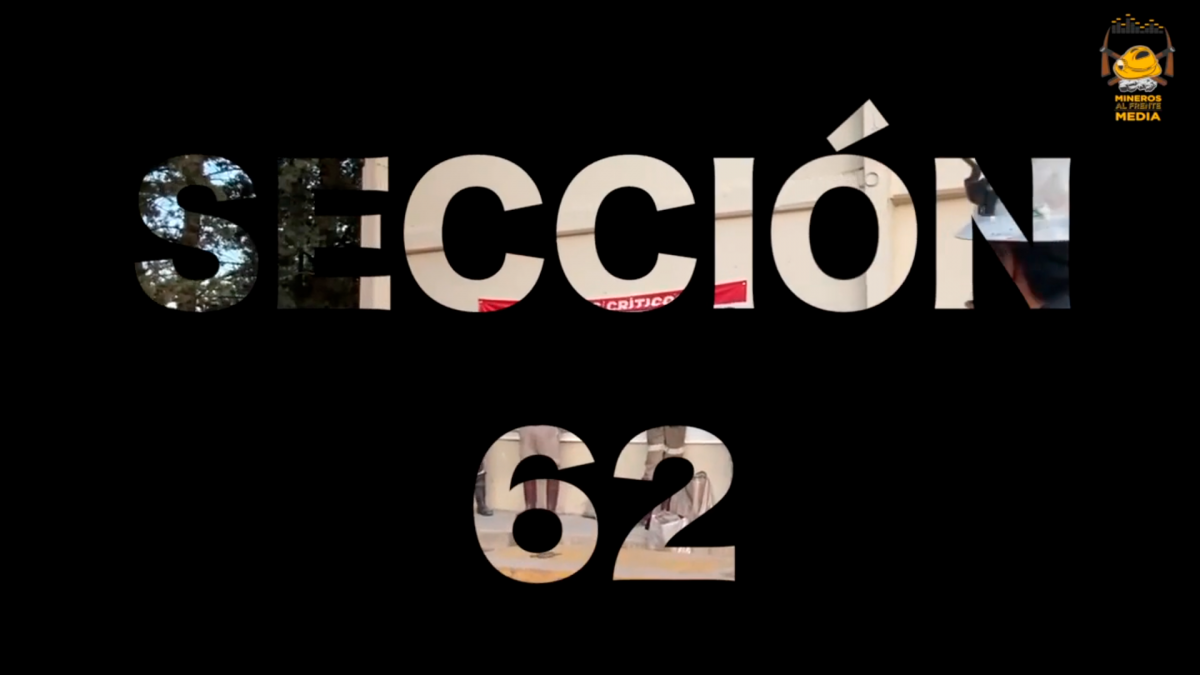 [Vídeo] Fresnillo Sección 62 